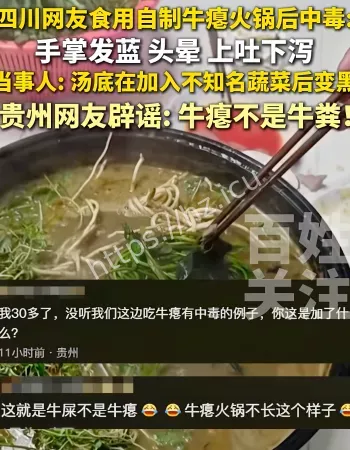 牛瘪火锅中毒